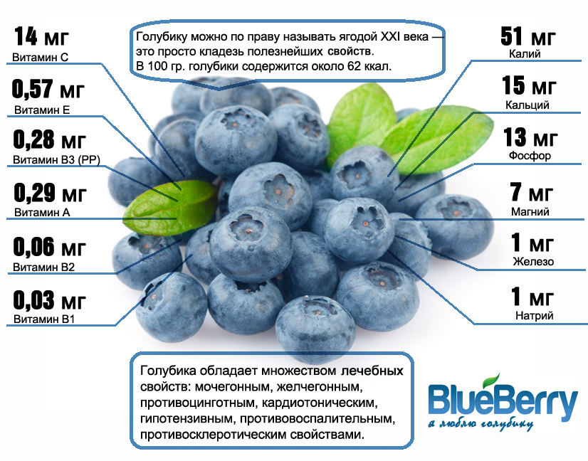 logo blueberries