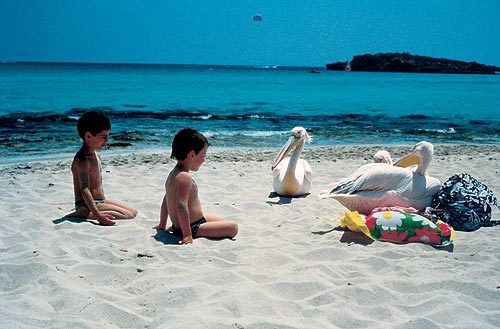 clean beaches of the island of Cyprus