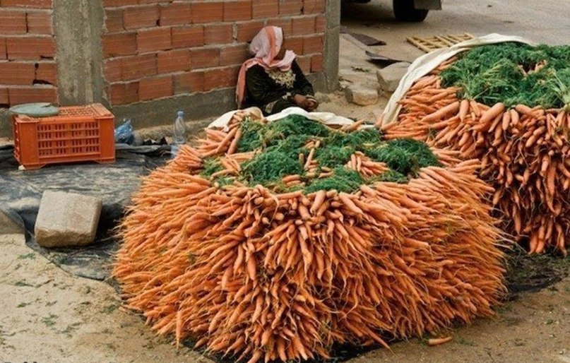 logo carrots
