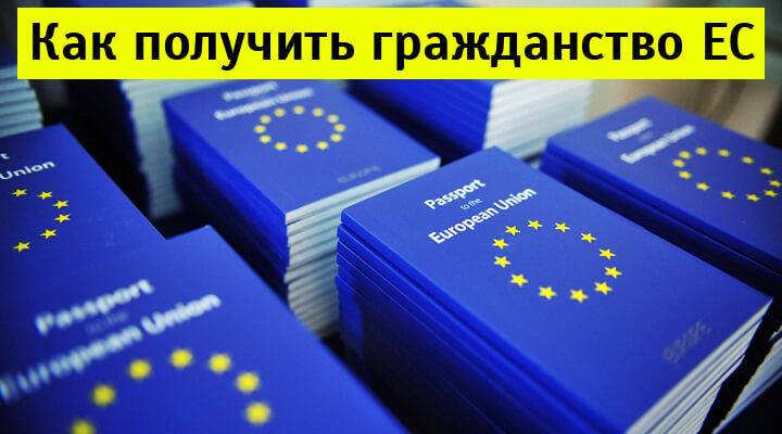 logo EU citizenship