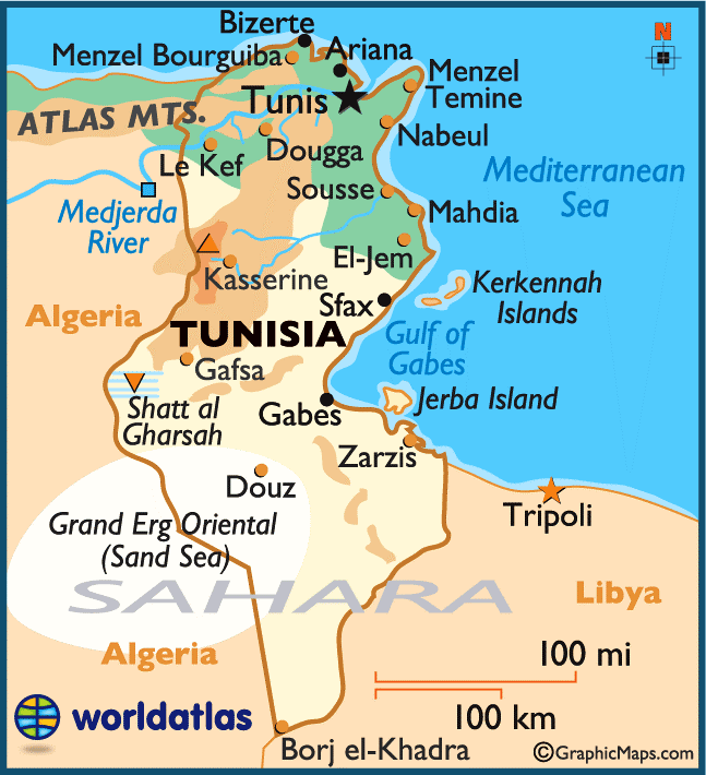 logo Tunisian